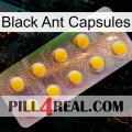 Black Ant Capsules new11